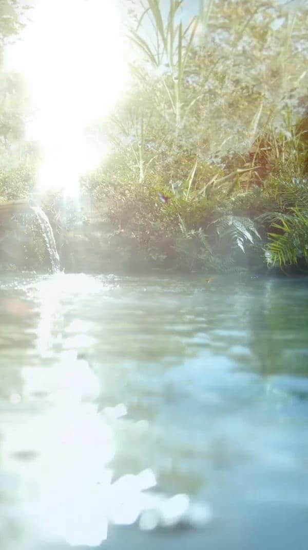水源地