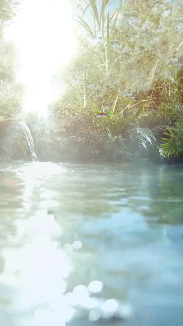 水源地