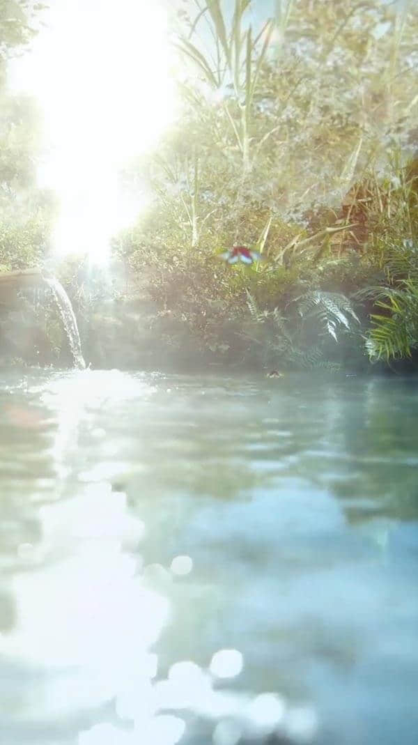 水源地