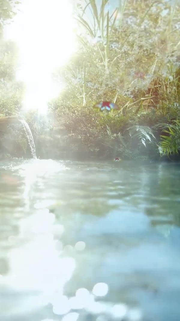 水源地