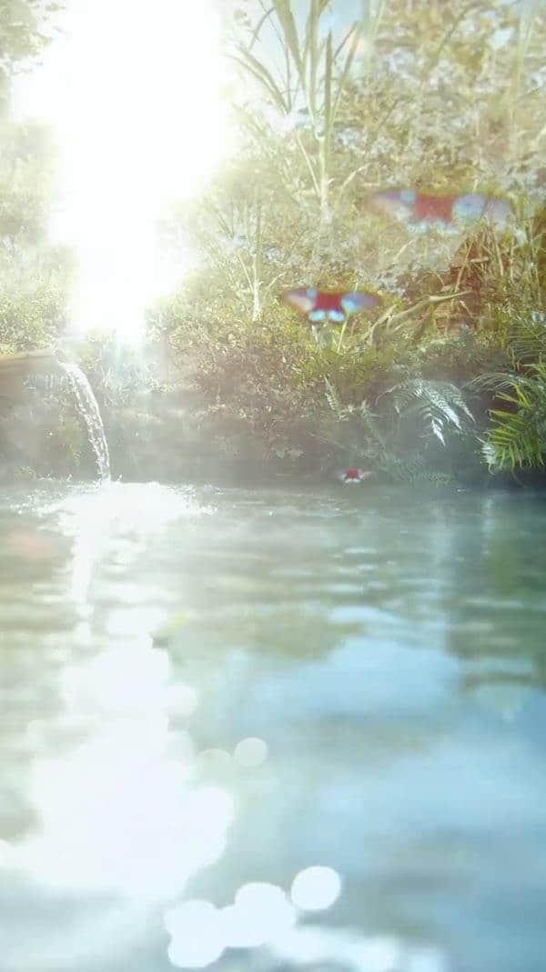 水源地