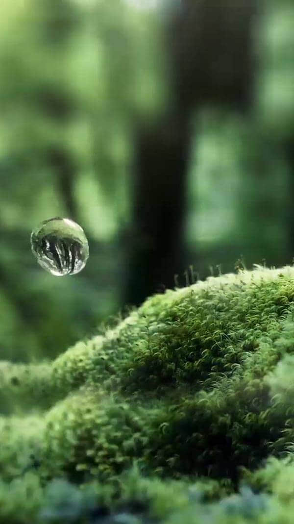水源地
