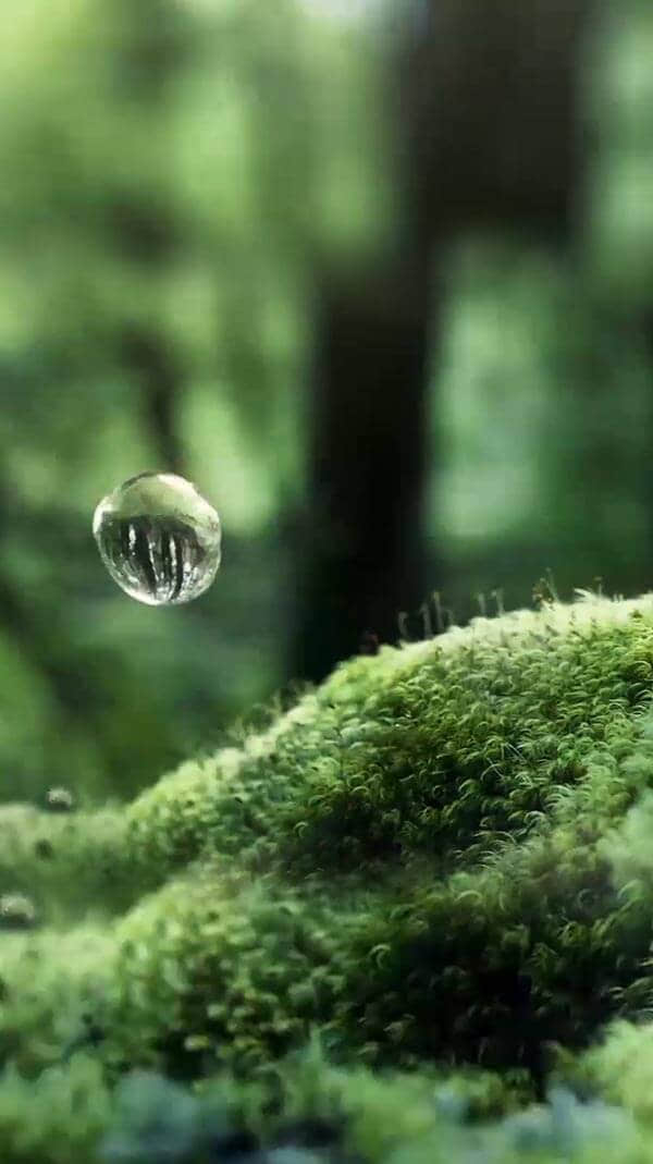 水源地