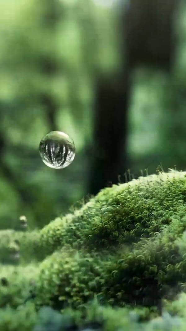 水源地
