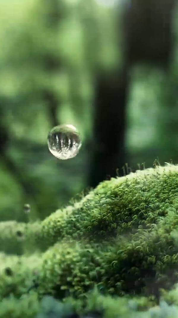 水源地