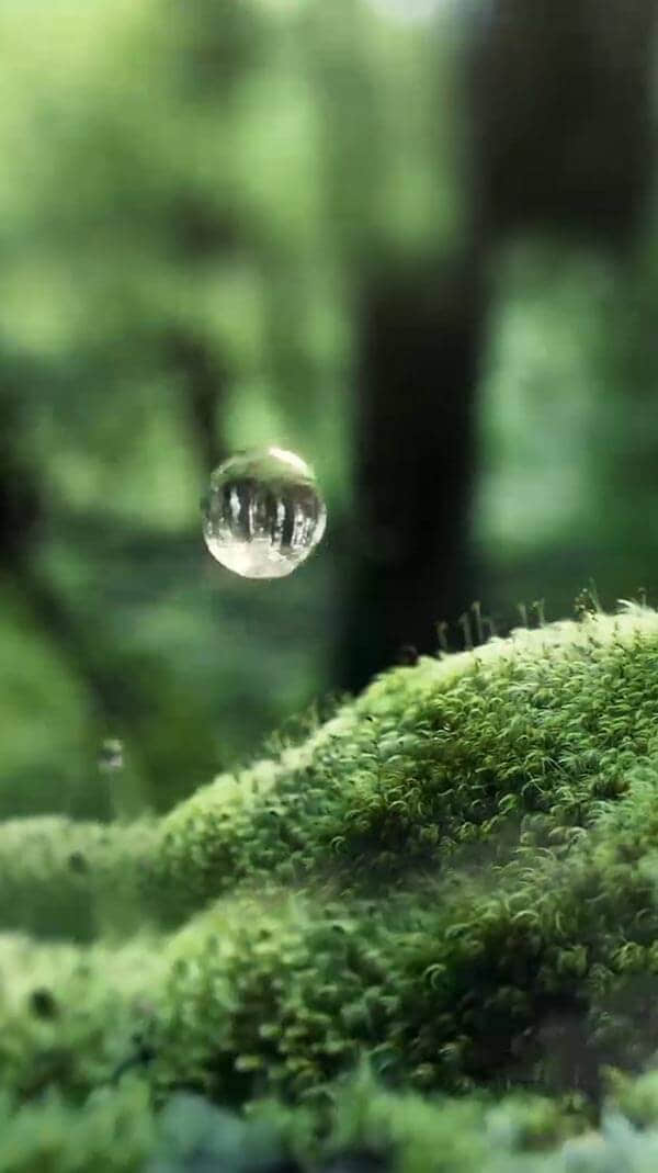 水源地