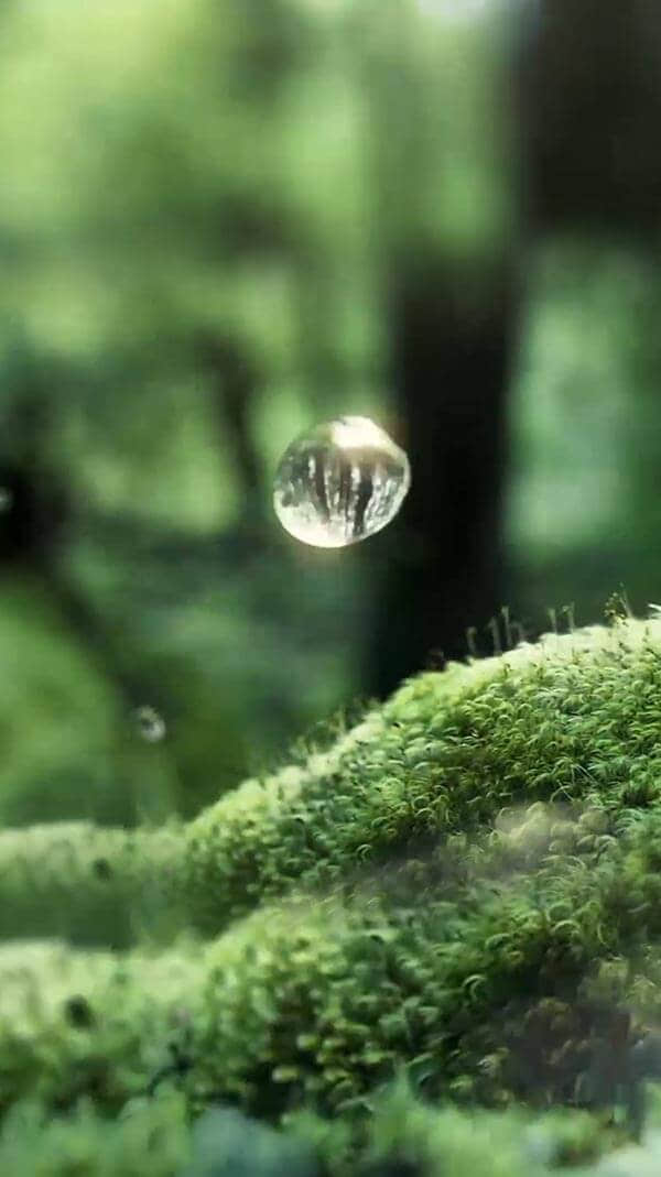 水源地