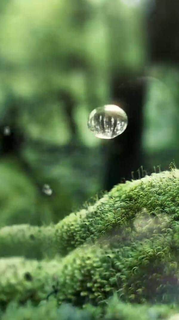 水源地