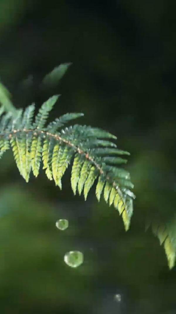 水源地