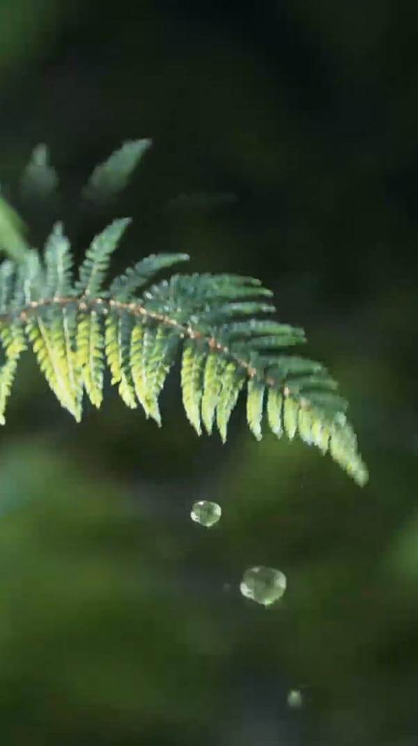 水源地