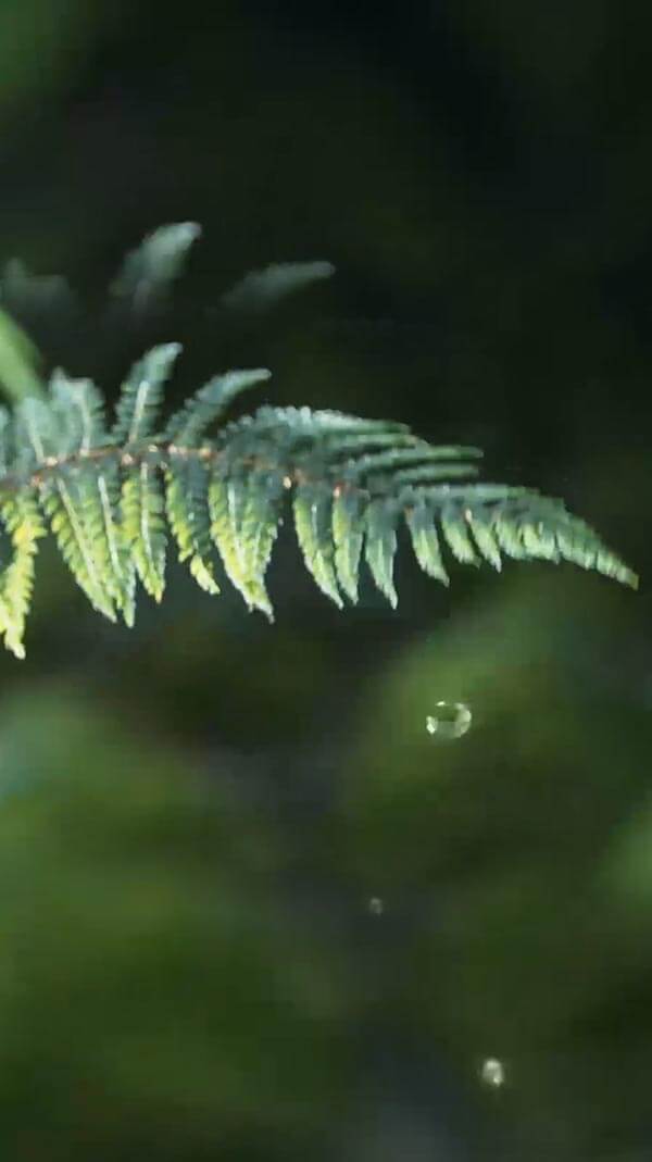 水源地