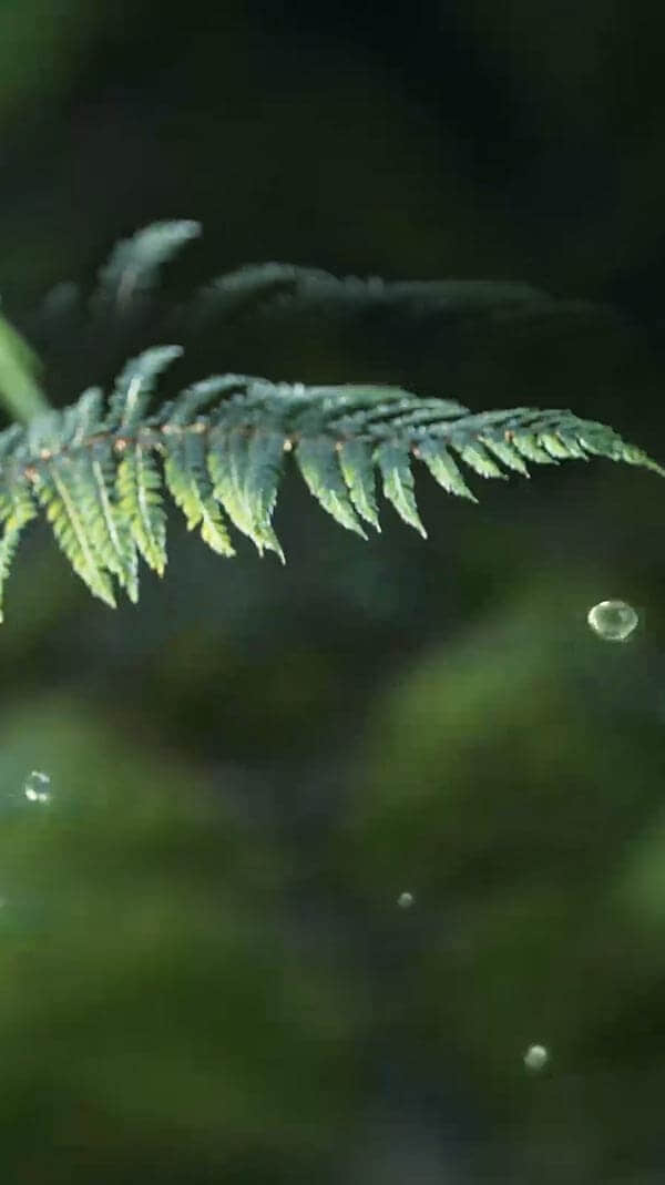 水源地