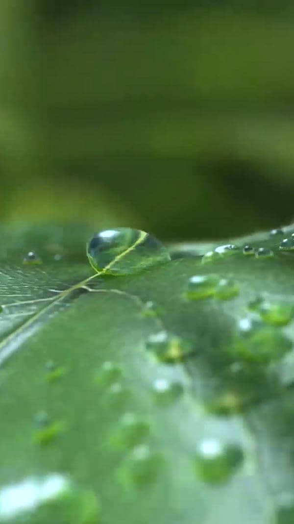 水源地