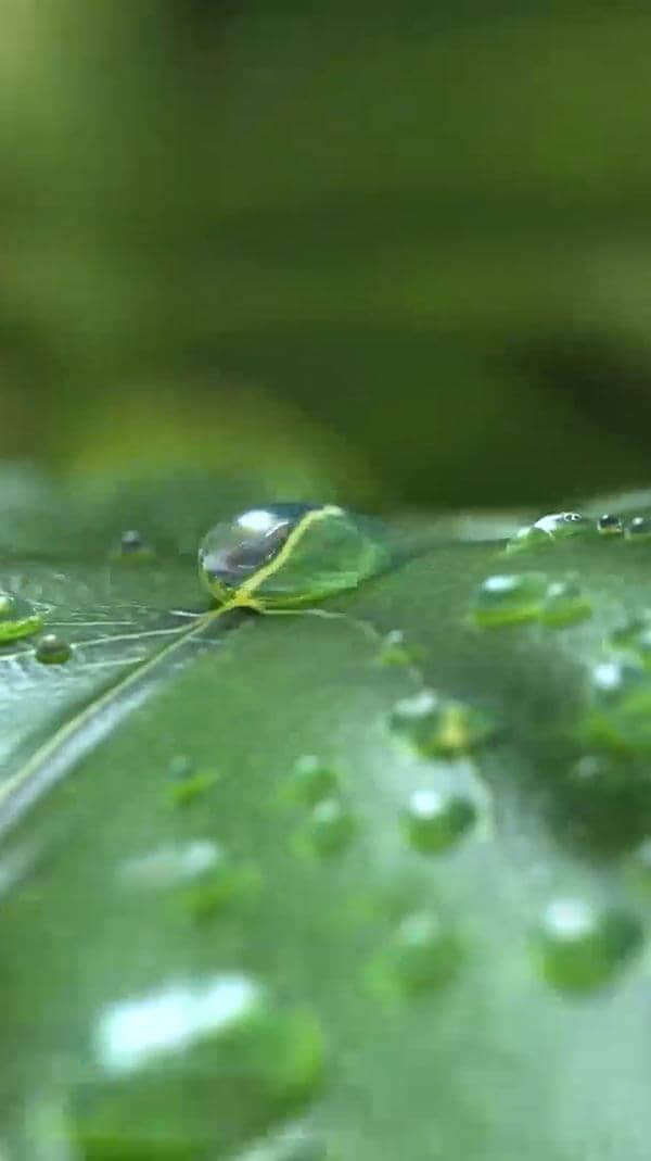 水源地