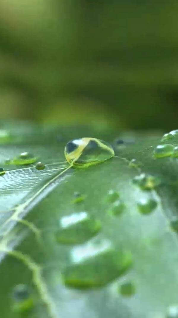 水源地