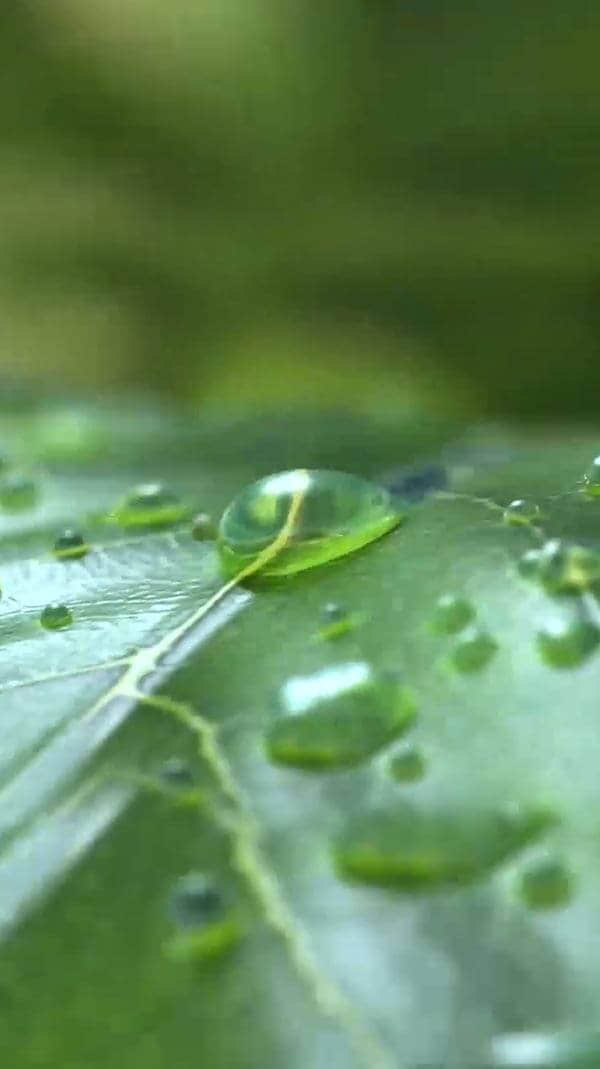 水源地