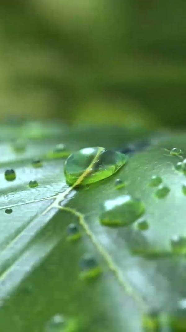 水源地