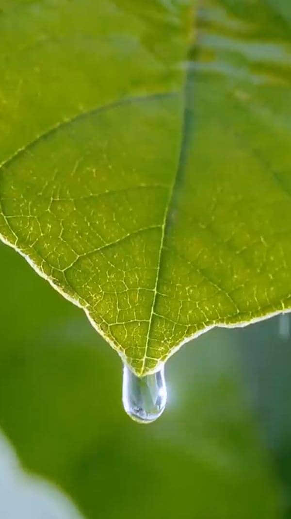 水源地