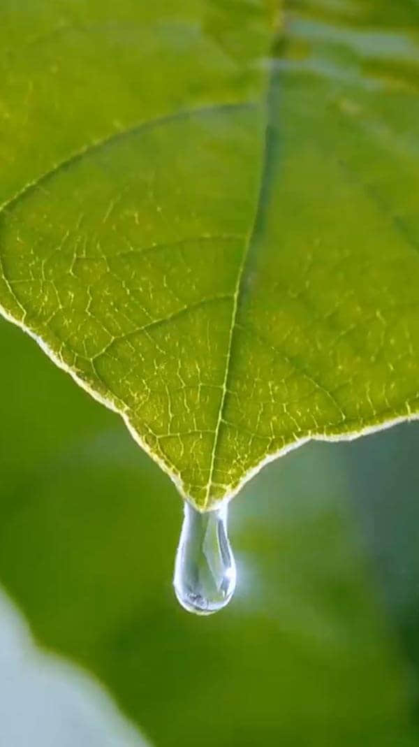 水源地