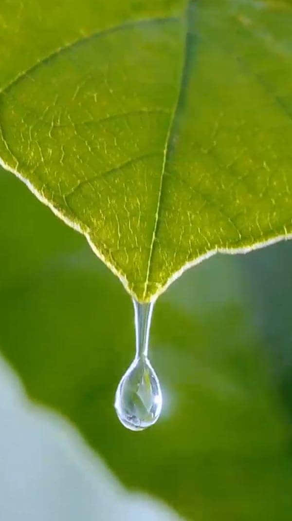 水源地