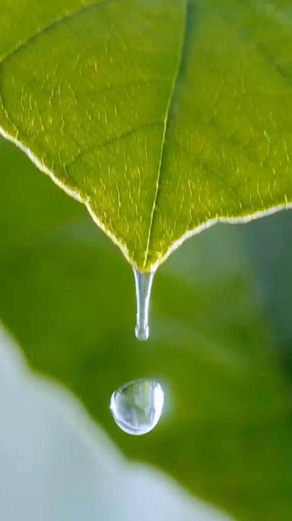 水源地