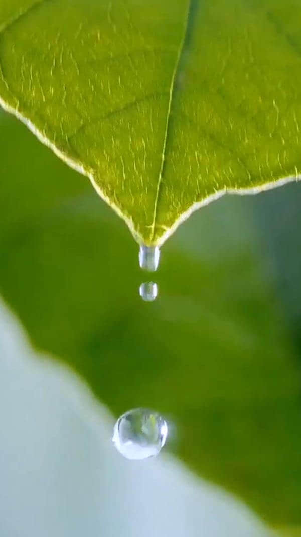 水源地