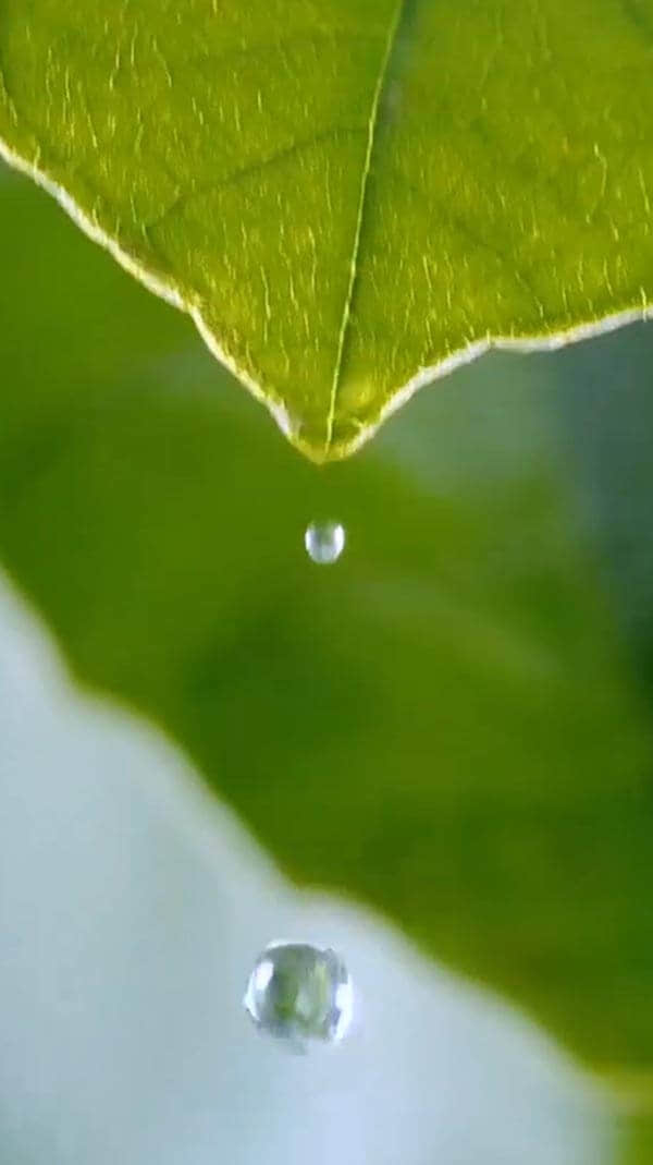 水源地