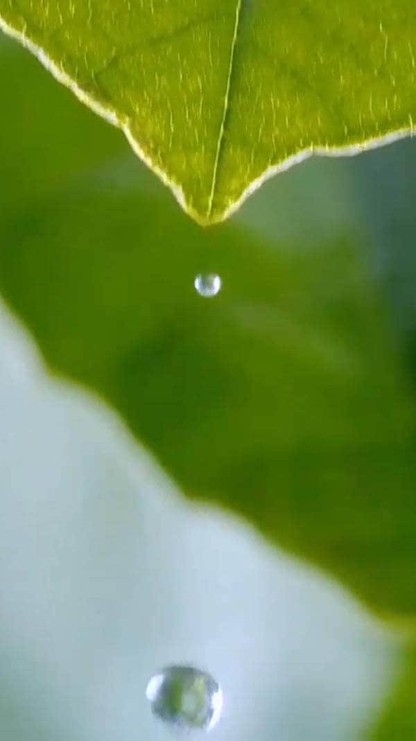 水源地